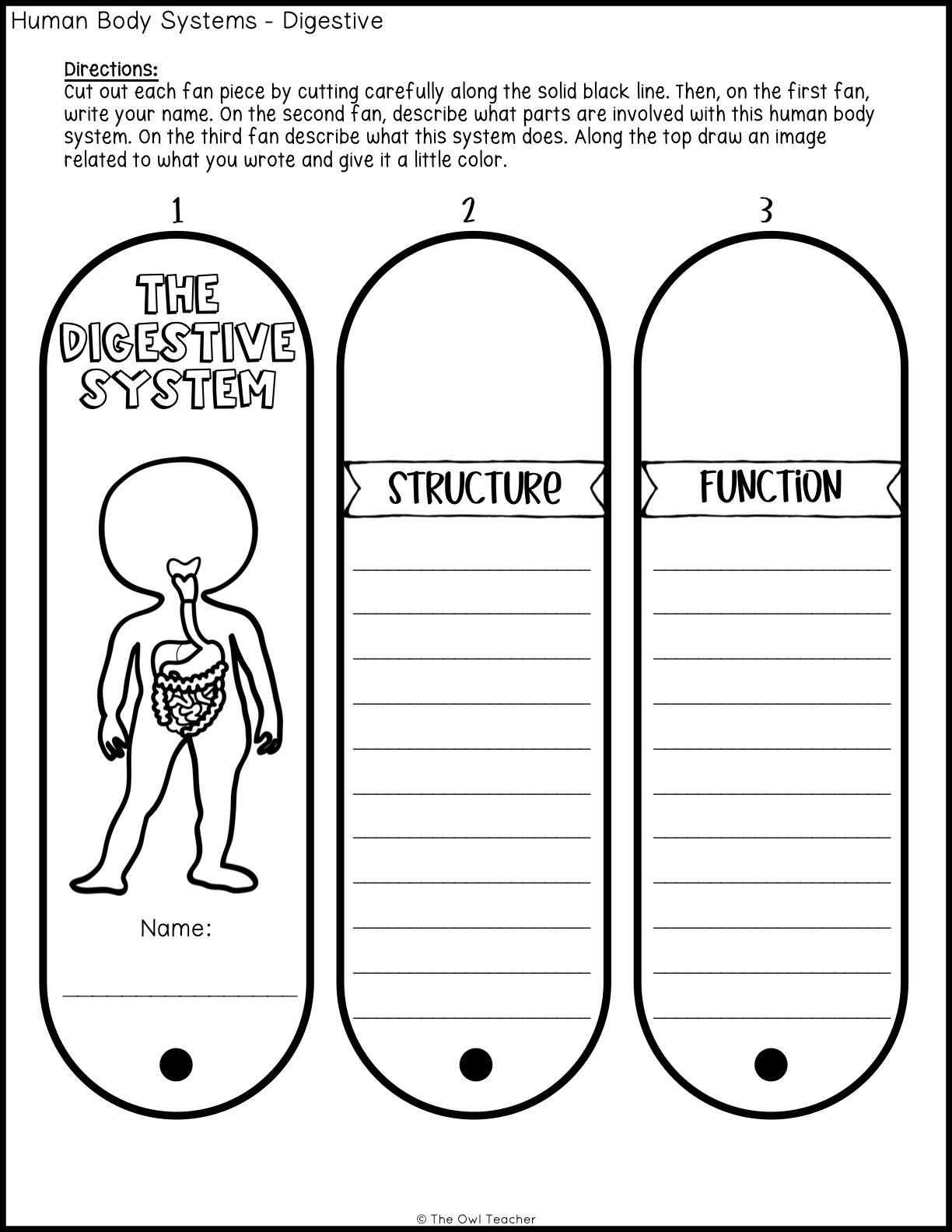 Human Body Systems Fans Printable And Digital The Owl Teacher