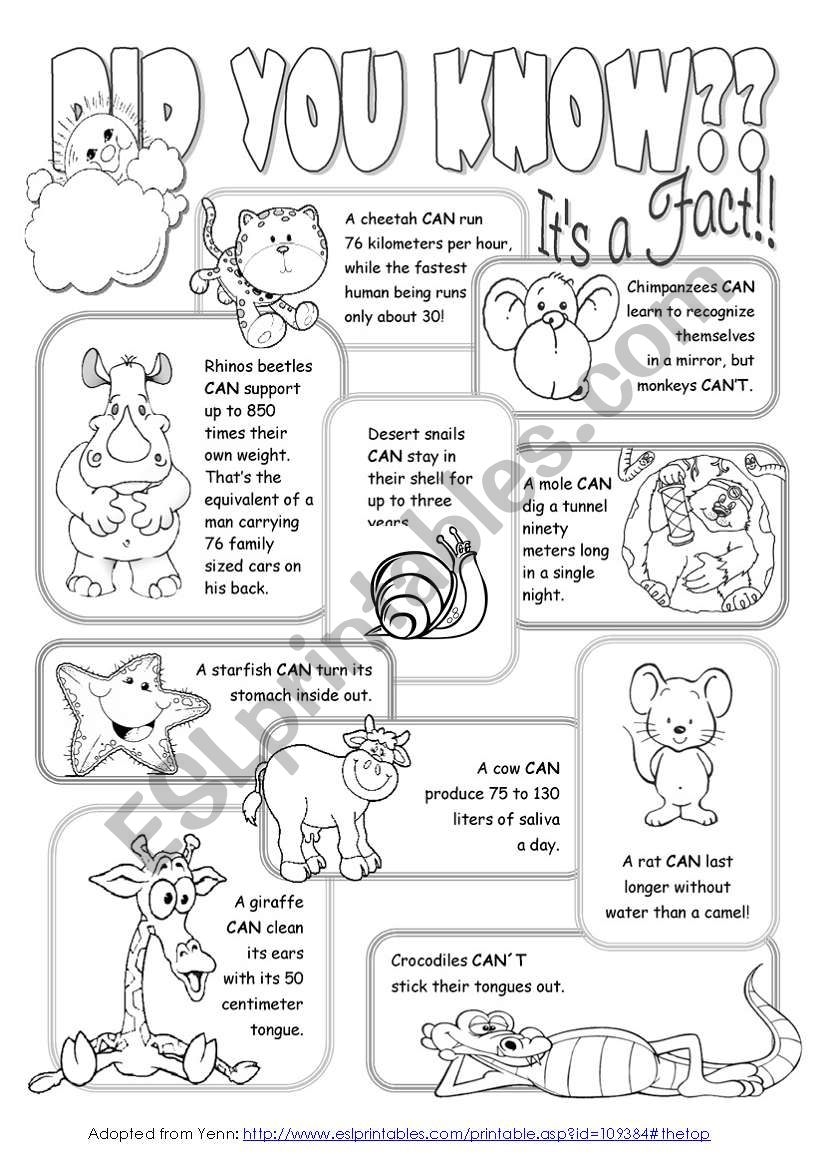 Interesting Facts About Animals ESL Worksheet By Alenka Worksheets Library Interesting Facts About Animals ESL Worksheet By Alenka Worksheets Library