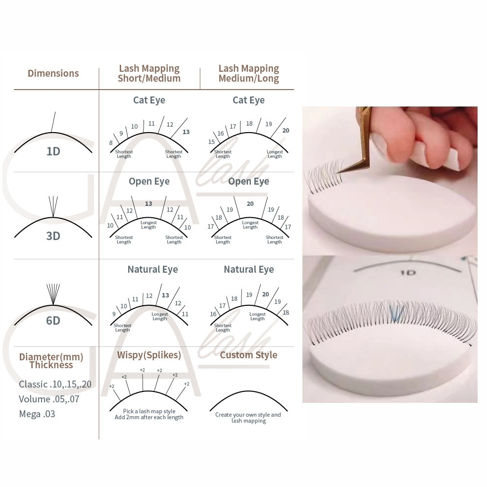 Lash Mapping Dimension Chart Lash Sponges GAlash Lash Mapping Dimension Chart Lash Sponges GAlash