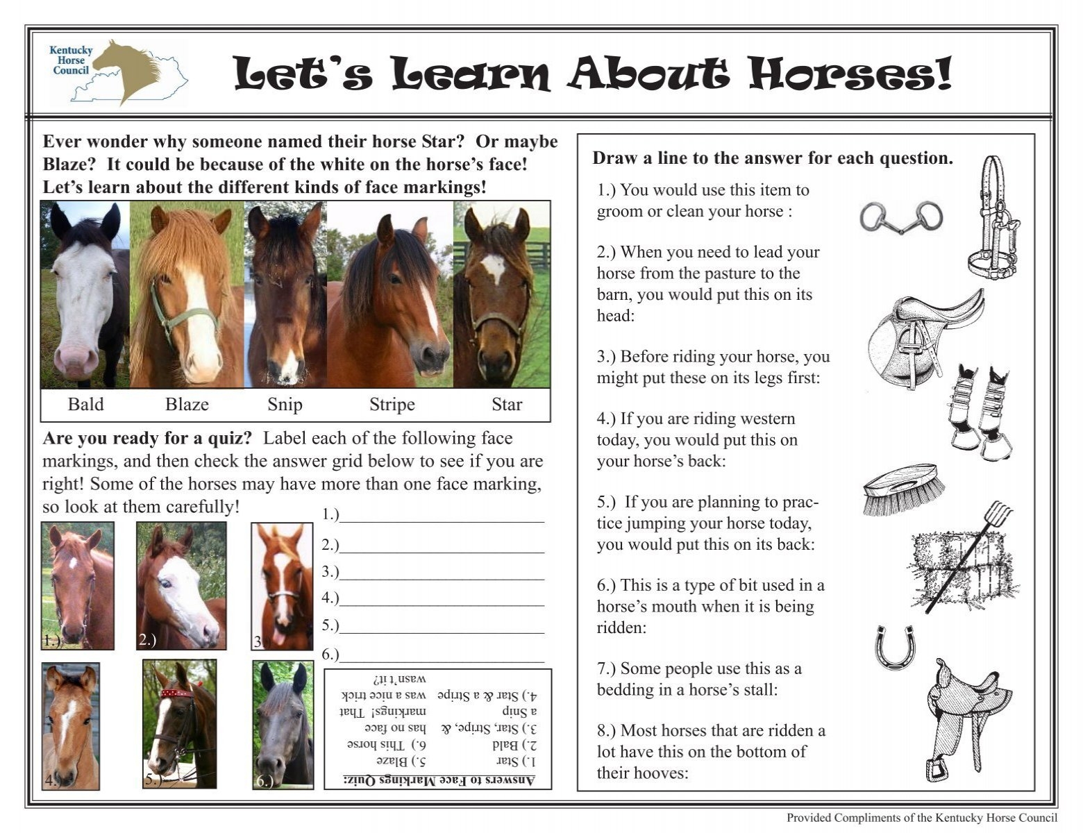 Let s Learn About Horses Activity Sheet Kentucky Horse Council Inc 