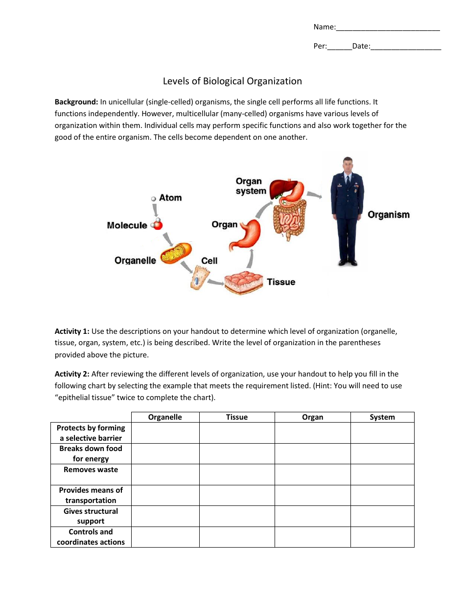 Biology Printable Worksheets