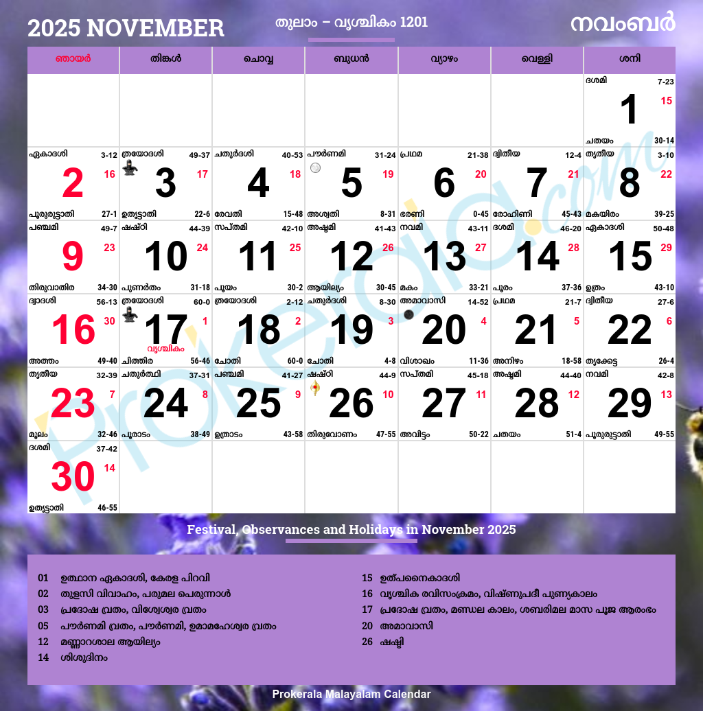 November 2025 Telugu Calendar