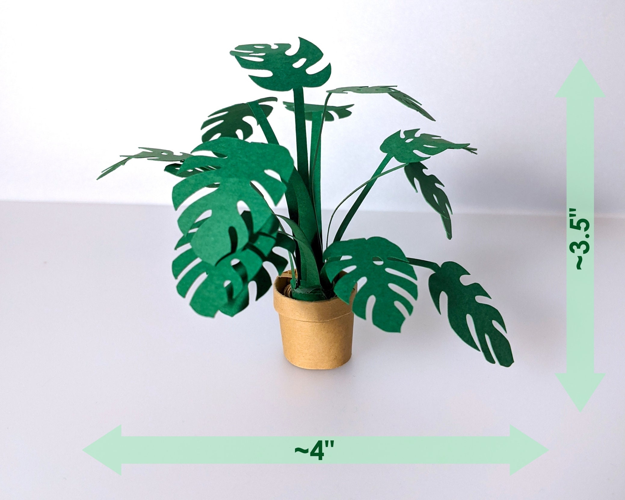 Free Printable Paper House Plant Template