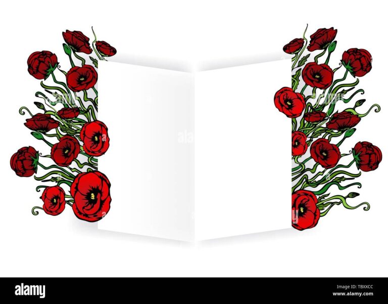 Open Book Template For Web And Print White Background With Red Flowers Creative Vector Design Elegant With Poppy Flowers Concept Stock Vector Image Art Alamy