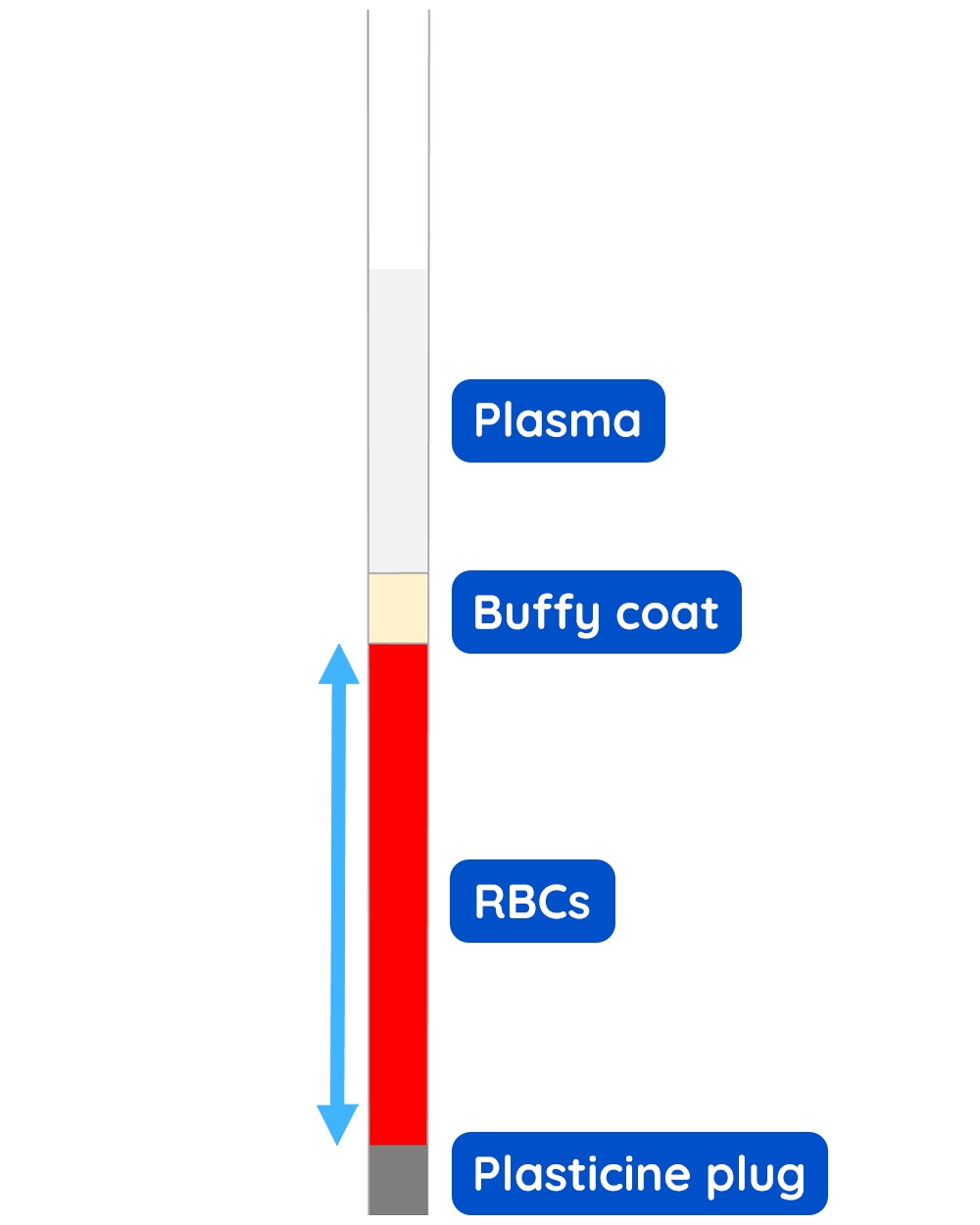 Packed Cell Volume PCV WVS Academy Packed Cell Volume PCV WVS Academy