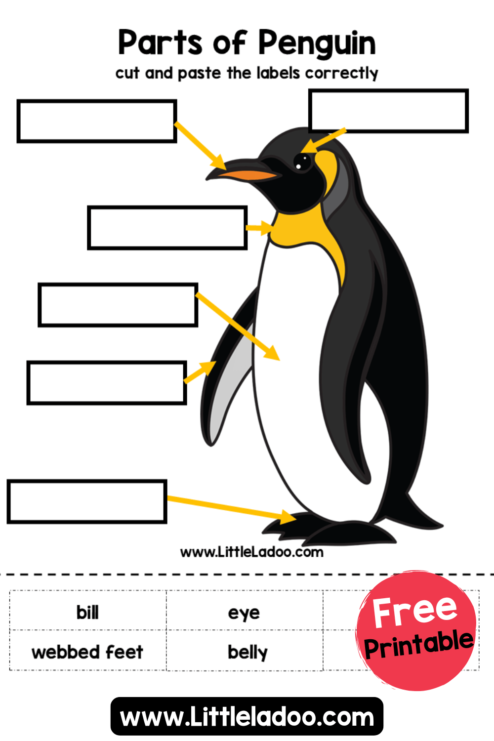 Parts Of Penguin Worksheets Free Printable 