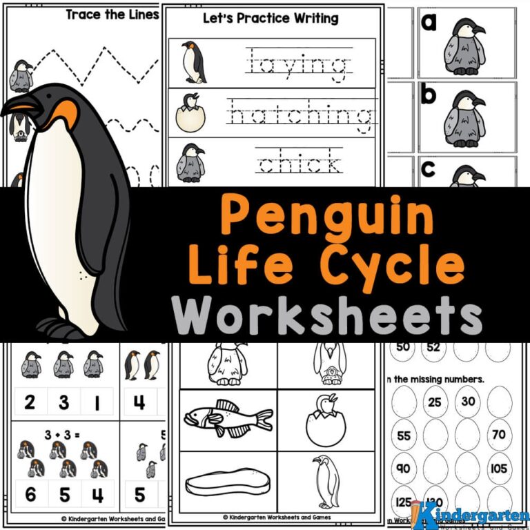  Penguin Life Cycle Worksheets For Kids