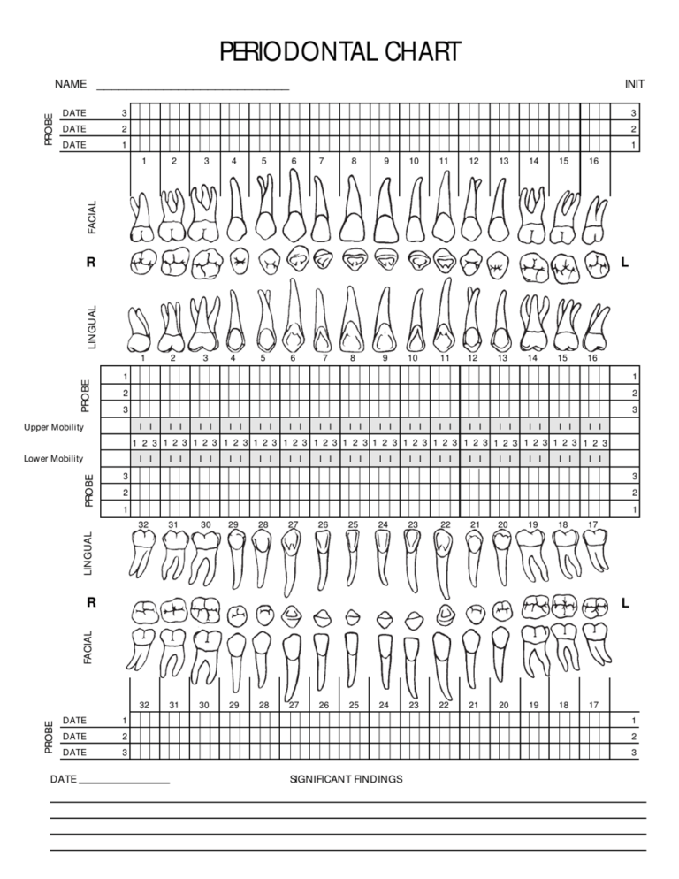 Periodontal Chart Cambridge Dental Consultants Download Printable PDF Templateroller