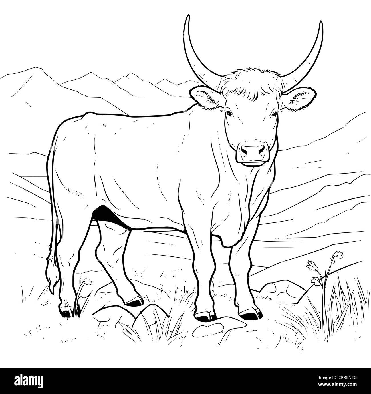 Printable Cow Coloring Pages For Adults Hi res Stock Photography And Images Alamy Printable Cow Coloring Pages For Adults Hi res Stock Photography And Images Alamy