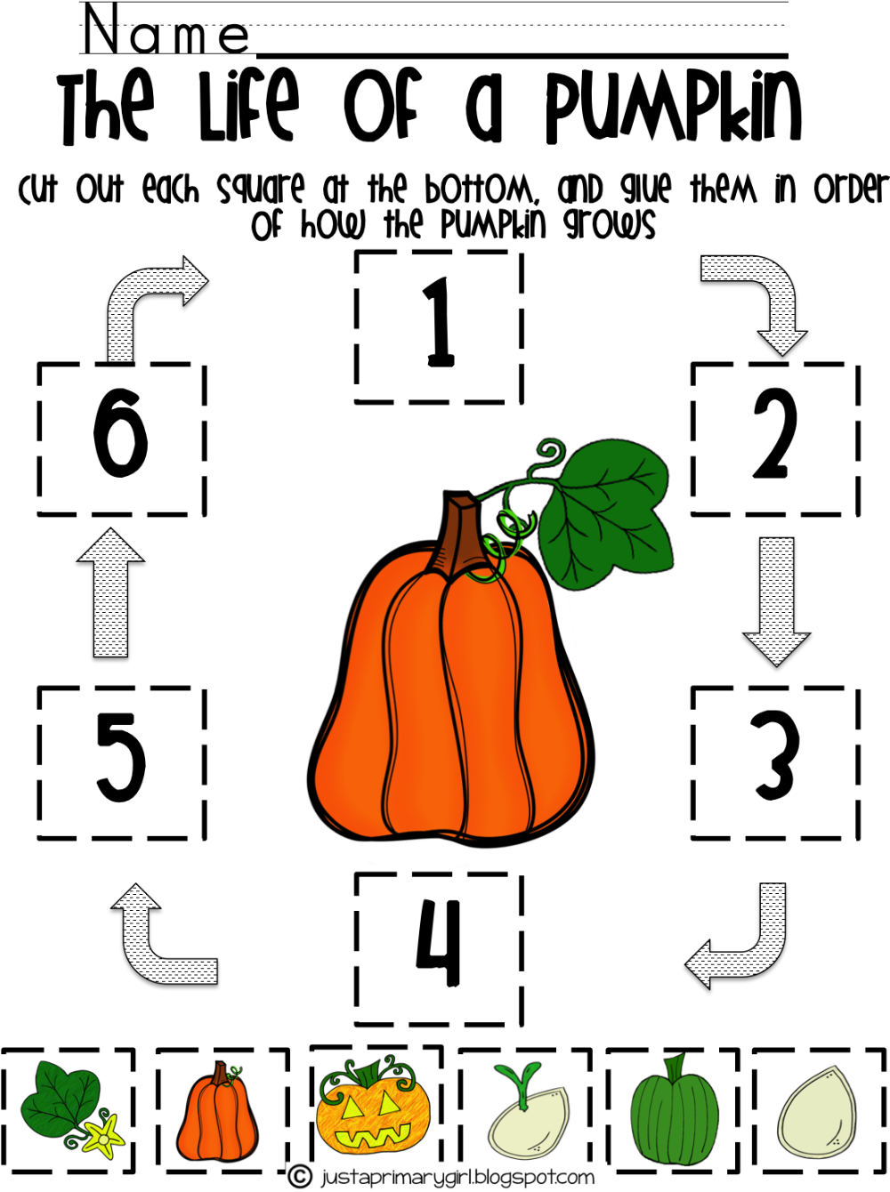 Printable Pumpkin Life Cycle Worksheet