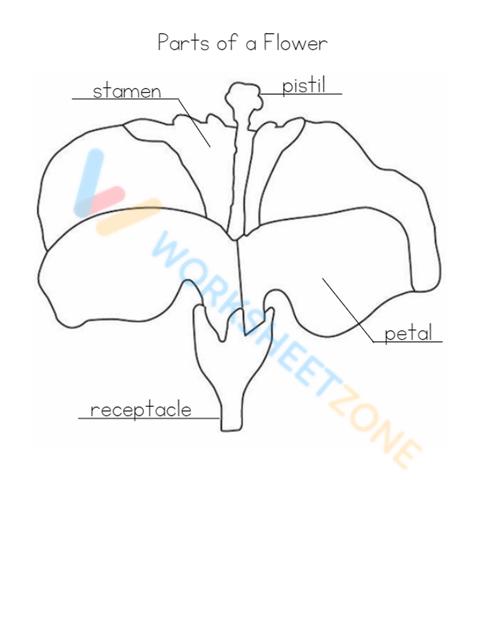 Printable Parts Of A Flower Worksheets Download