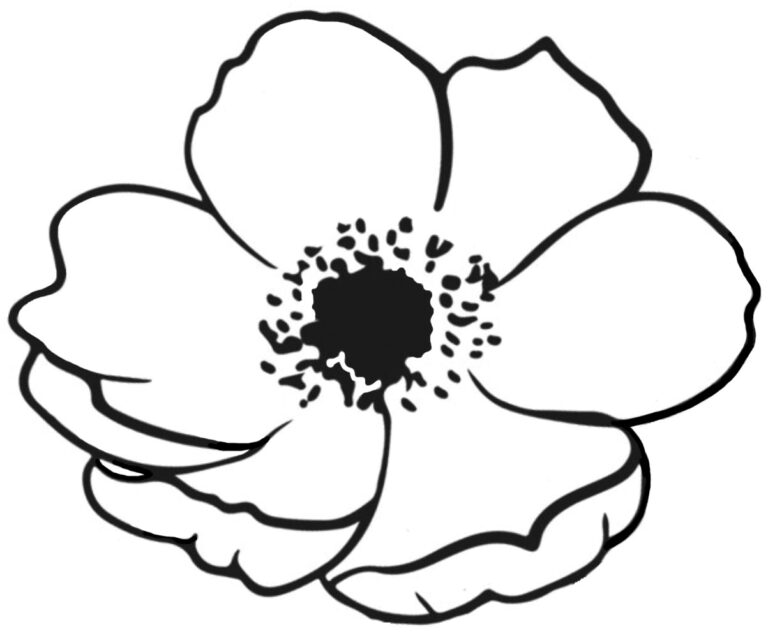 Printable Poppy To Colour In Rooftop Post Printables