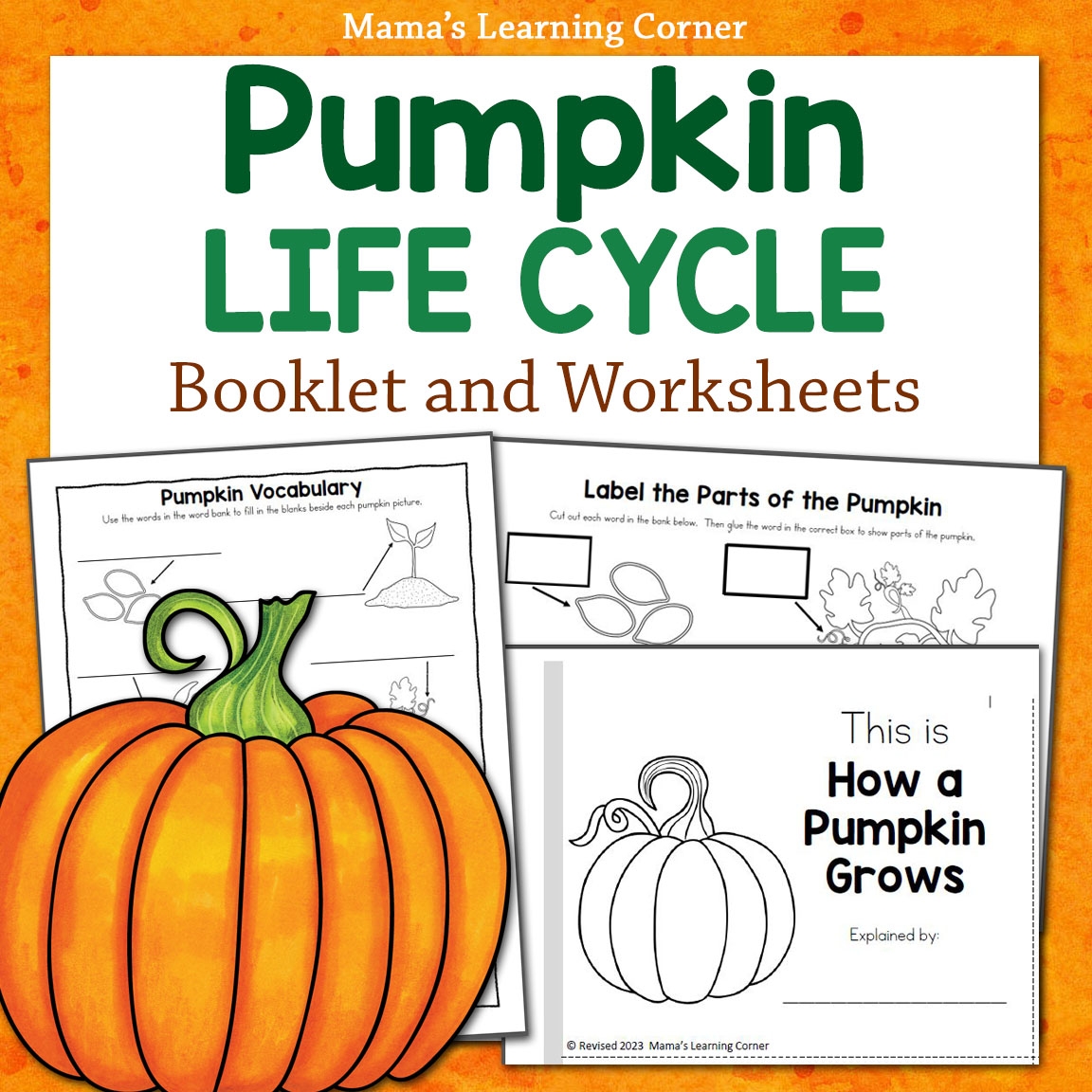 Pumpkin Life Cycle Worksheets And Booklet Mamas Learning Corner