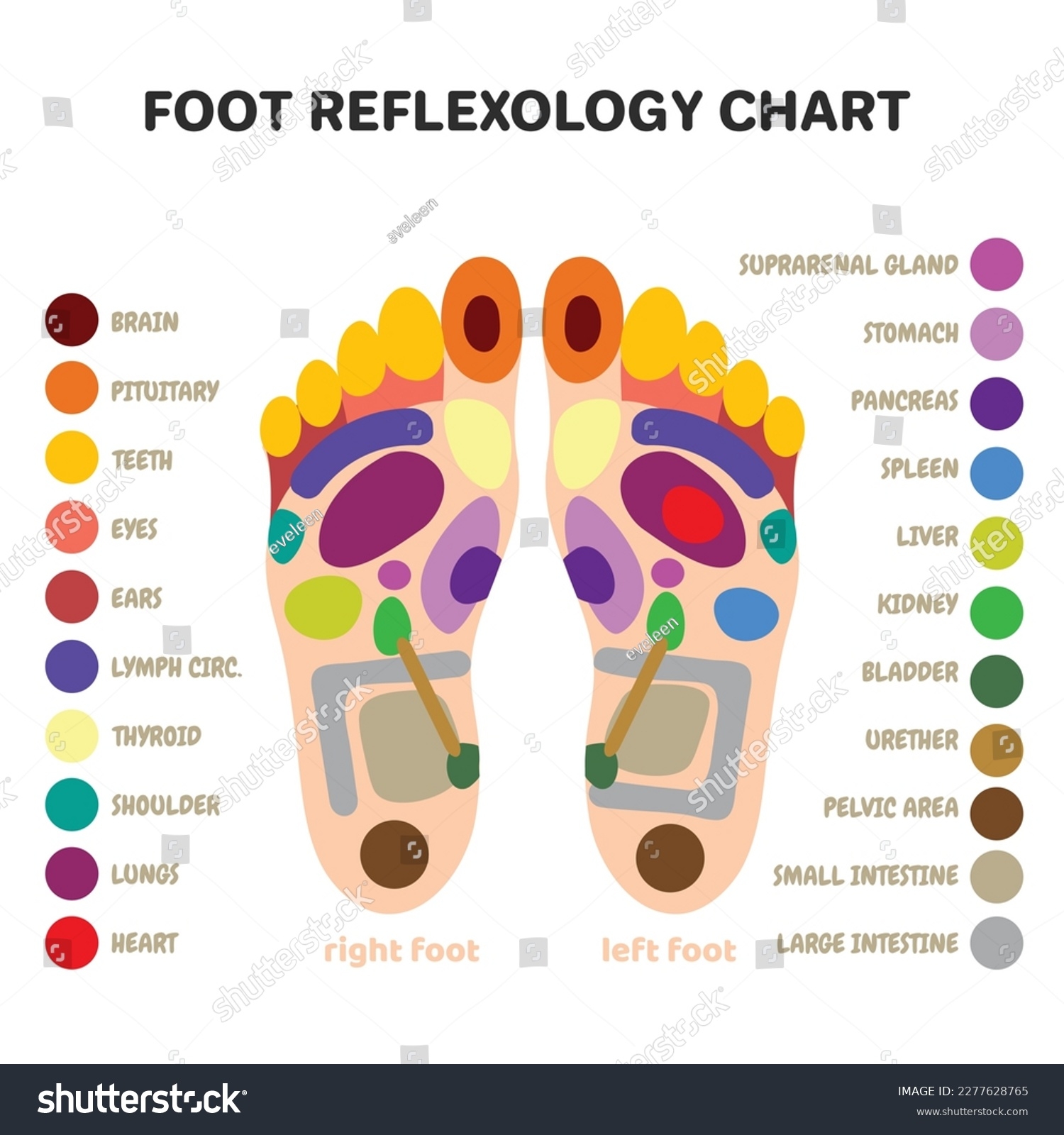 Printable Acupressure Points Chart