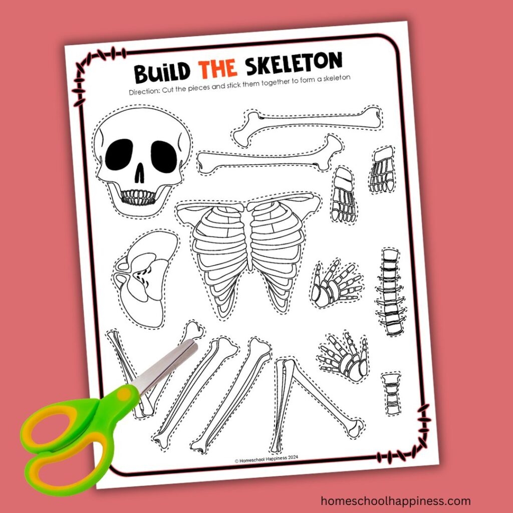 Printable Skeletal System Worksheet