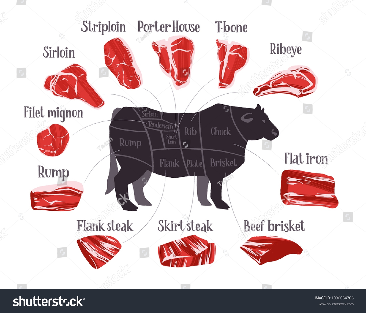Printable Beef Cuts Chart