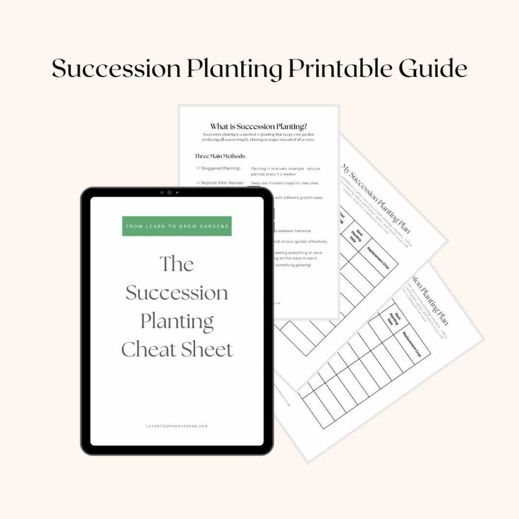 Succession Planting Chart Helpful How To Guide Learn To Grow Gardens