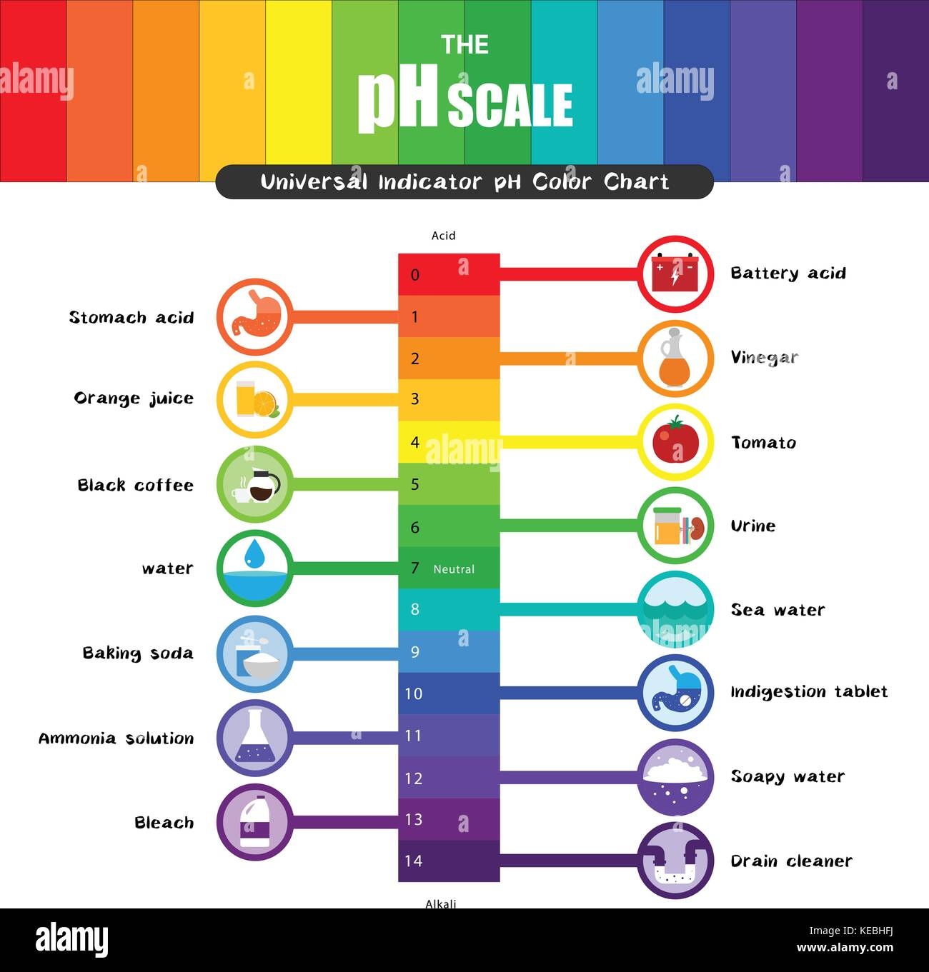 The PH Scale Universal Indicator PH Color Chart Diagram Acidic Alkaline Values Common Substances Vector Illustration Flat Icon Design Colorful Stock Vector Image Art Alamy