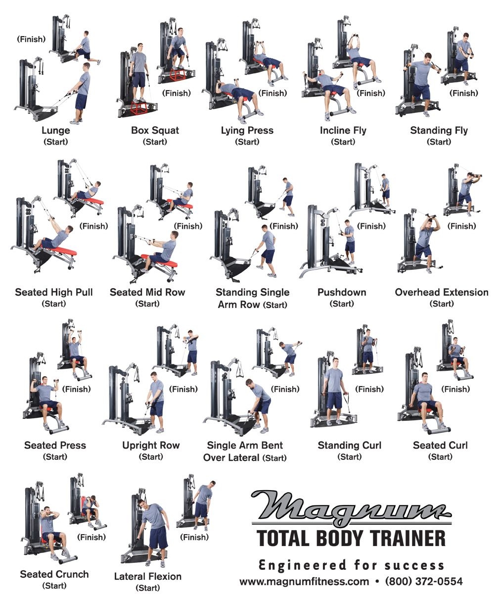 Total Gym Exercise Routine Pdf Printable Total Gym Workout Cards Pdf Workout Plan Total Gym