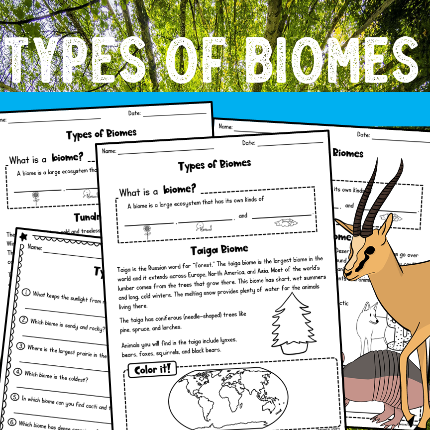 Types Of Biomes Worksheets And BOOM Cards Made By Teachers