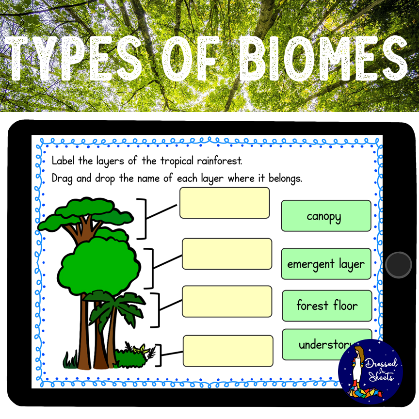 Types Of Biomes Worksheets And BOOM Cards Made By Teachers