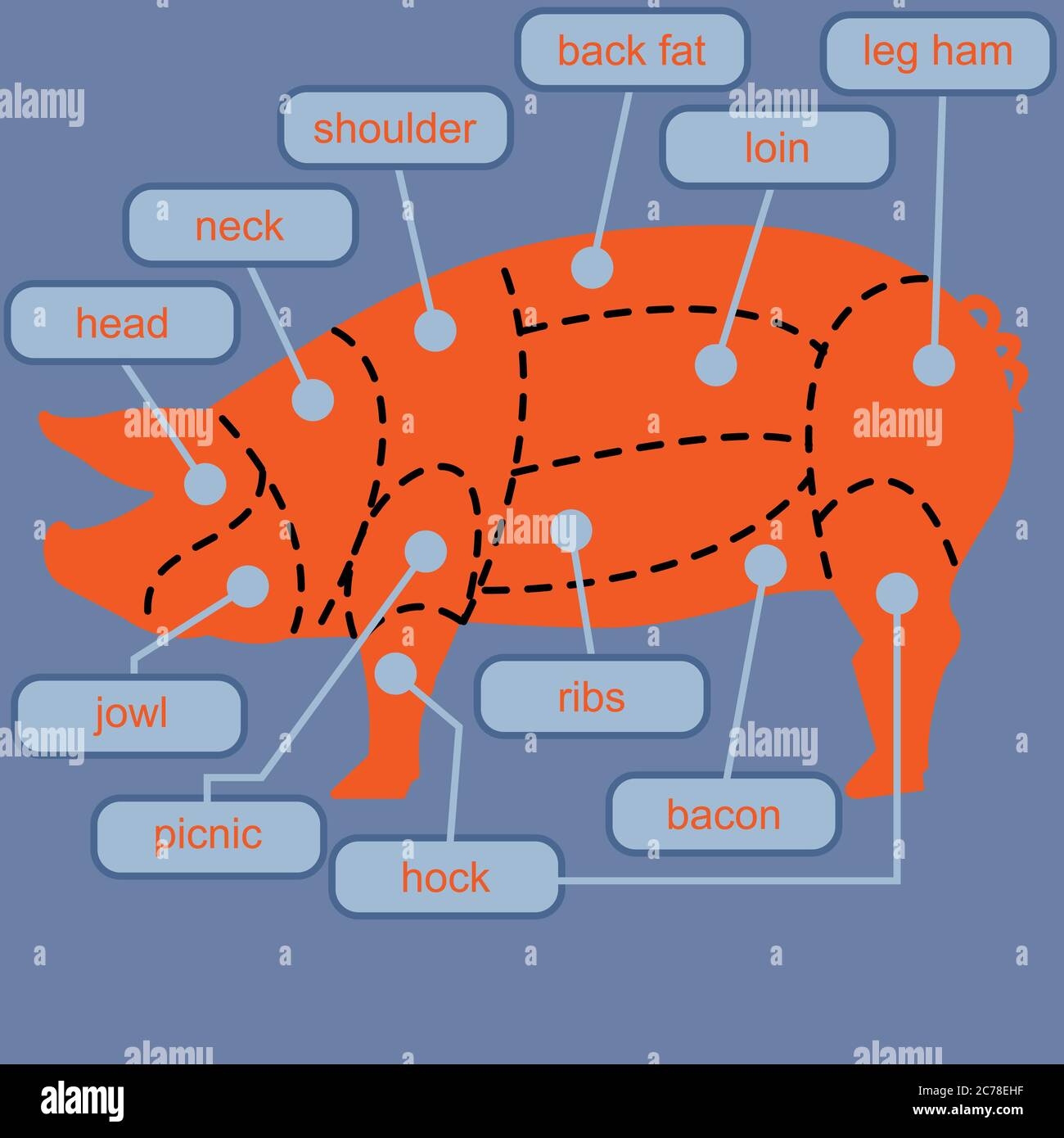 Vector Pork Chart Meat Bacon Food Hi res Stock Photography And Images Alamy