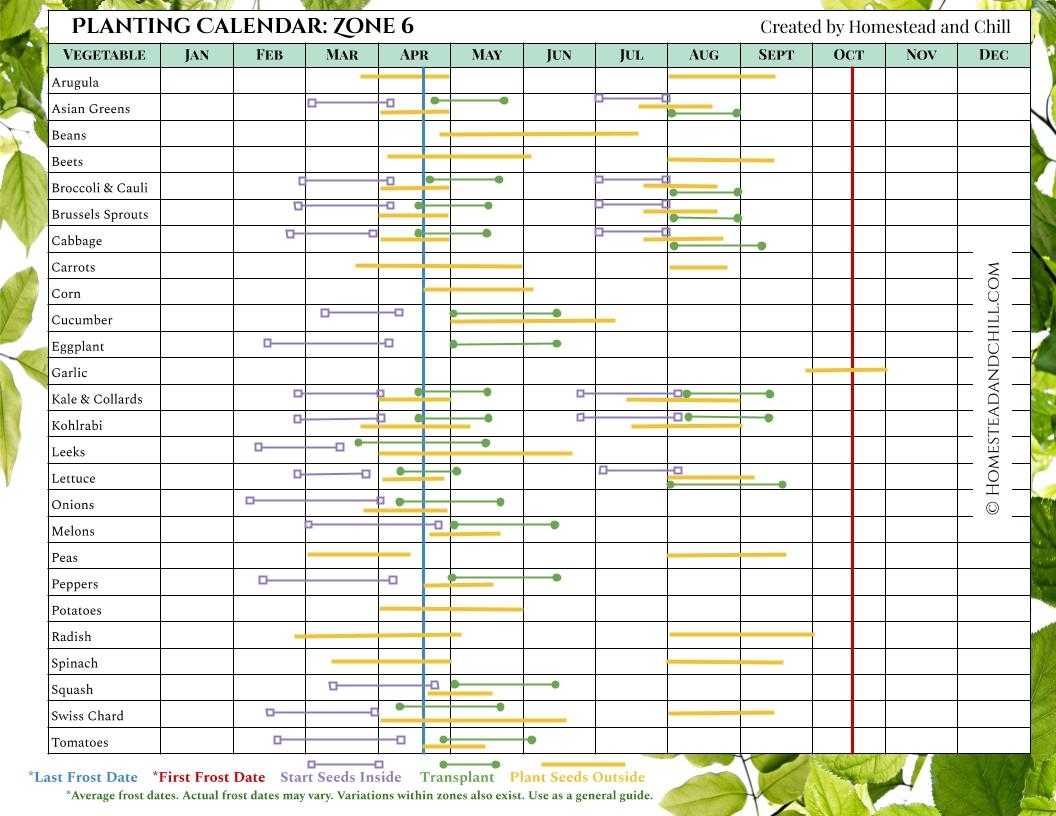 When To Start Seeds Indoors Planting Calendars For Every Zone Homestead And Chill