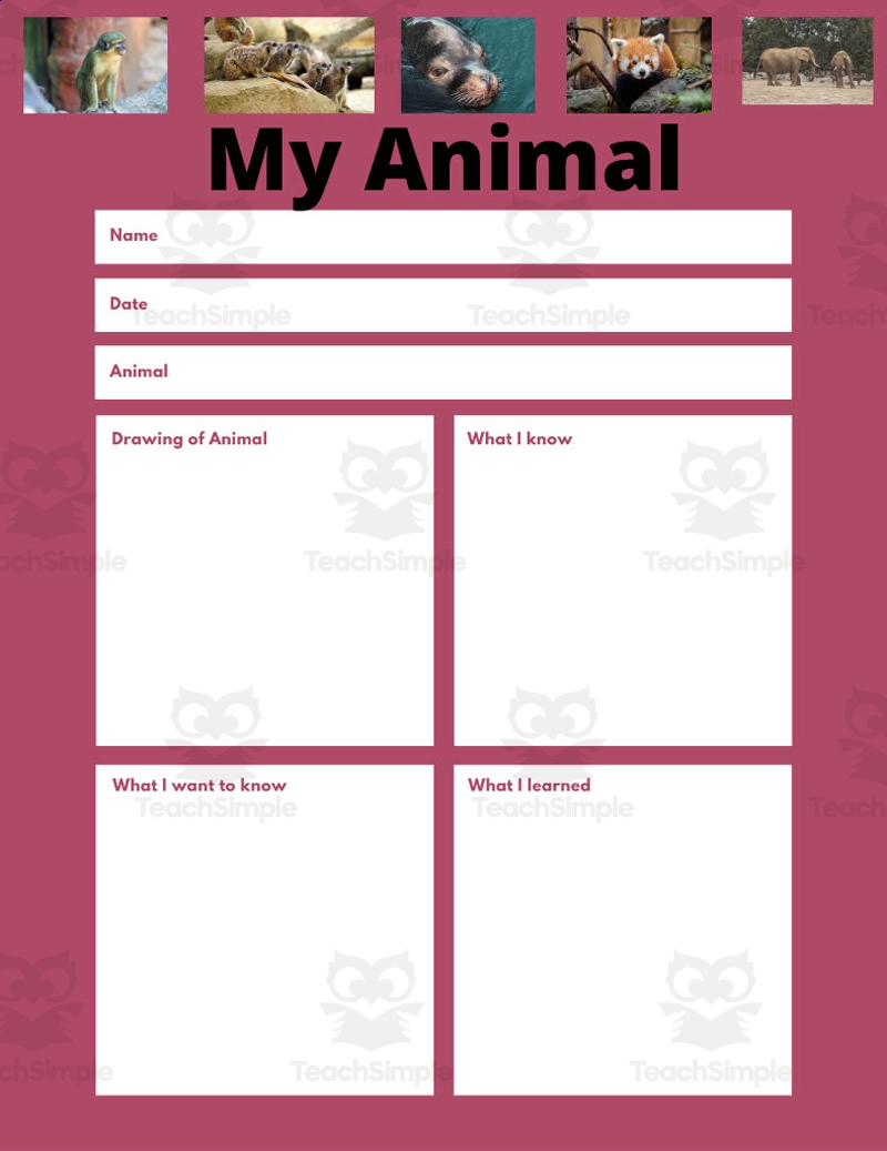 Zoo Animal Fact Sheet Packet By Teach Simple Zoo Animal Fact Sheet Packet By Teach Simple